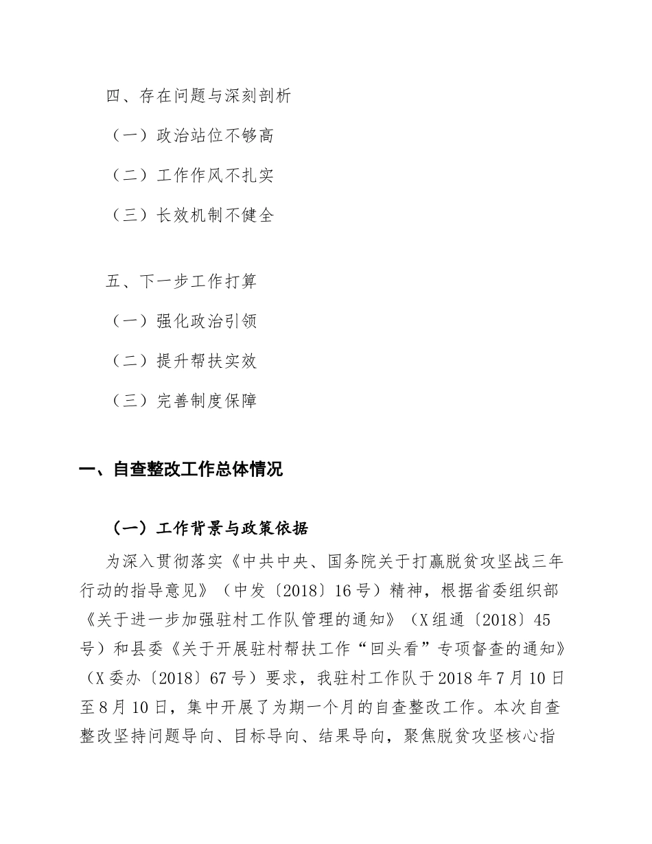 2018年驻村工作队自查整改报告（含问题清单与整改台账）_第2页