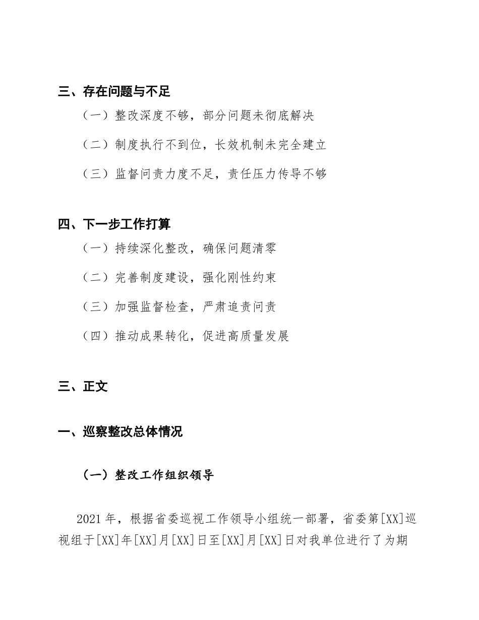 2021年巡察整改工作情况报告（含整改台账模板）_第2页