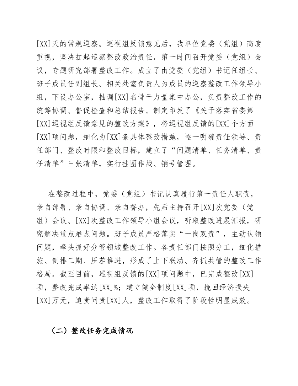 2021年巡察整改工作情况报告（含整改台账模板）_第3页