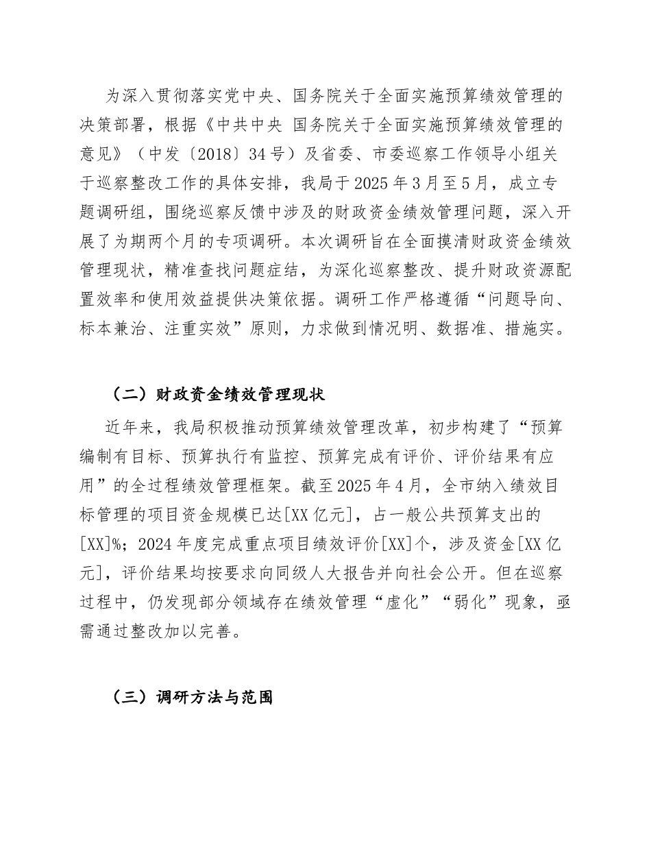 2025年财政局关于巡察整改中财政资金绩效管理的调研报告（附整改台账模板）_第3页