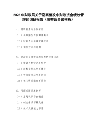 2025年财政局关于巡察整改中财政资金绩效管理的调研报告（附整改台账模板）