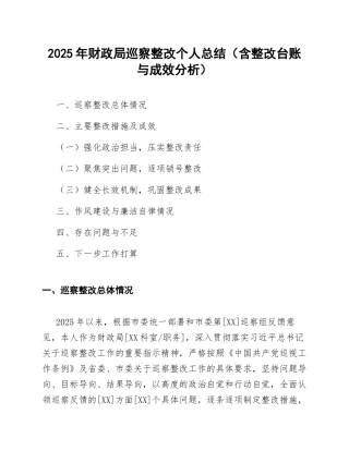 2025年财政局巡察整改个人总结（含整改台账与成效分析）