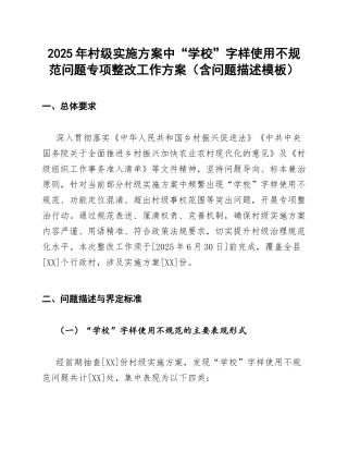 2025年村级实施方案中“学校”字样使用不规范问题专项整改工作方案（含问题描述模板）
