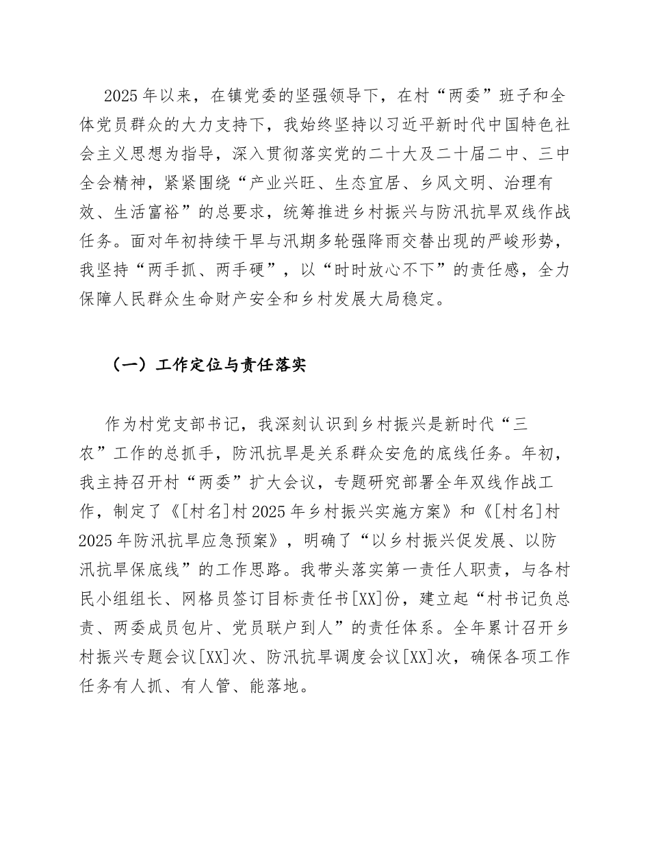 2025年度村党支部书记乡村振兴与防汛抗旱双线作战述职报告（含履职清单模板）_第3页