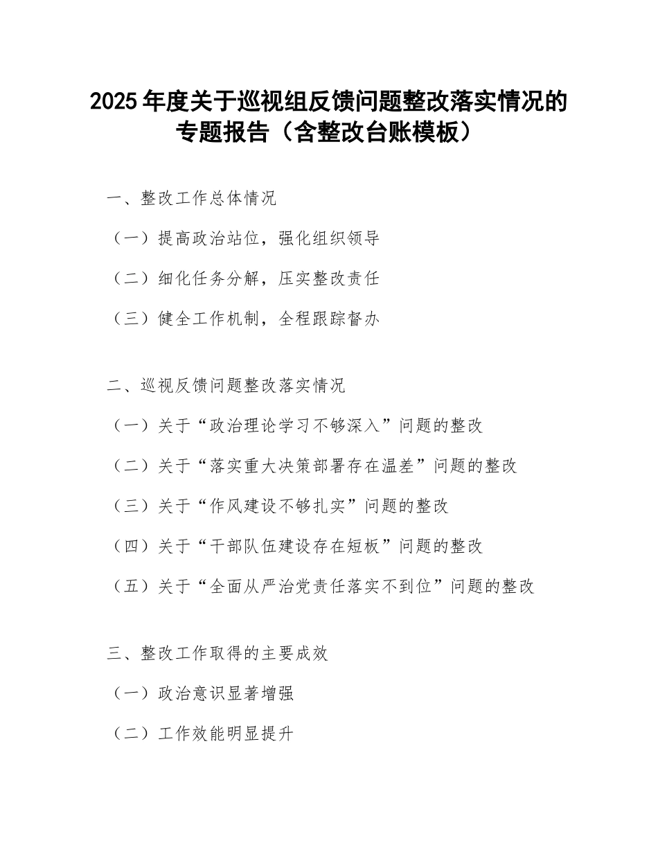 2025年度关于巡视组反馈问题整改落实情况的专题报告（含整改台账模板）_第1页