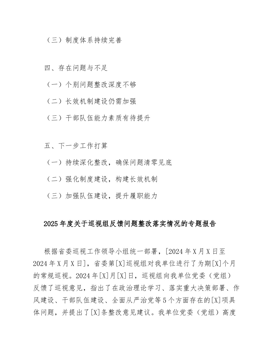 2025年度关于巡视组反馈问题整改落实情况的专题报告（含整改台账模板）_第2页