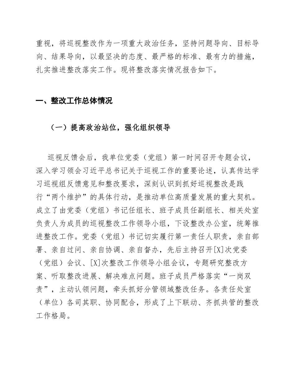 2025年度关于巡视组反馈问题整改落实情况的专题报告（含整改台账模板）_第3页
