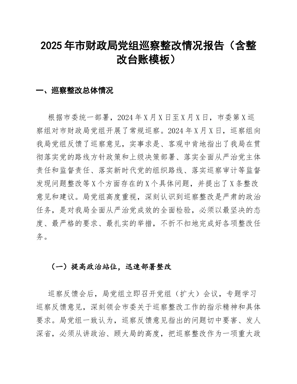 2025年市财政局党组巡察整改情况报告（含整改台账模板）_第1页