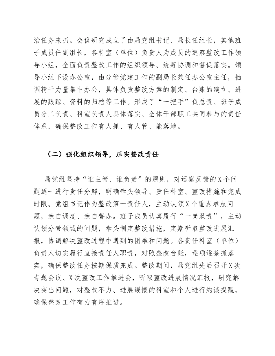2025年市财政局党组巡察整改情况报告（含整改台账模板）_第2页
