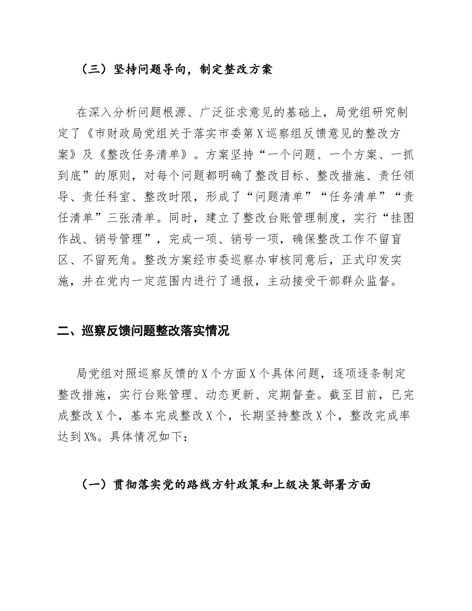 2025年市财政局党组巡察整改情况报告（含整改台账模板）_第3页