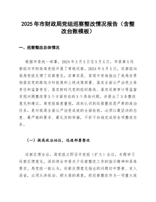 2025年市财政局党组巡察整改情况报告（含整改台账模板）