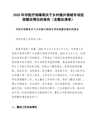 2025年市医疗保障局关于乡村振兴领域专项巡视整改情况的报告（含整改清单）