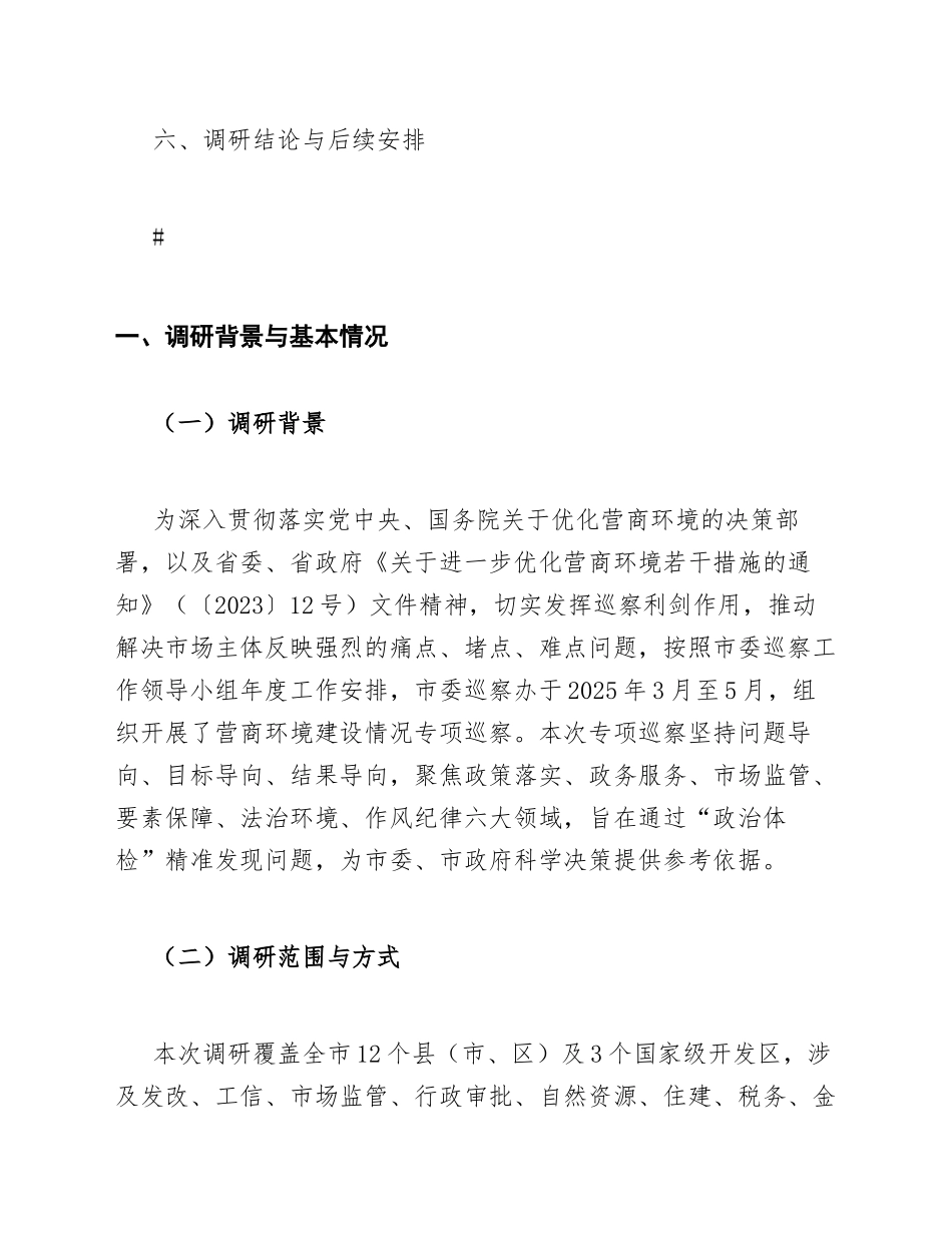 2025年巡察办营商环境专项巡察发现问题调研报告（含问题清单与整改建议模板）_第3页