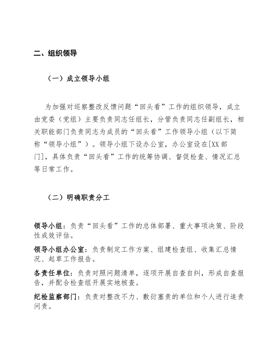 2026年度巡察整改反馈问题“回头看”工作方案（含自查清单模板）_第3页