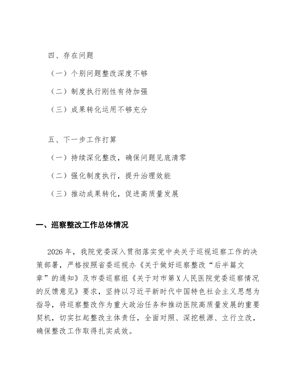 2026年度医院巡察整改工作汇报总结（含问题清单与整改台账范本）_第2页