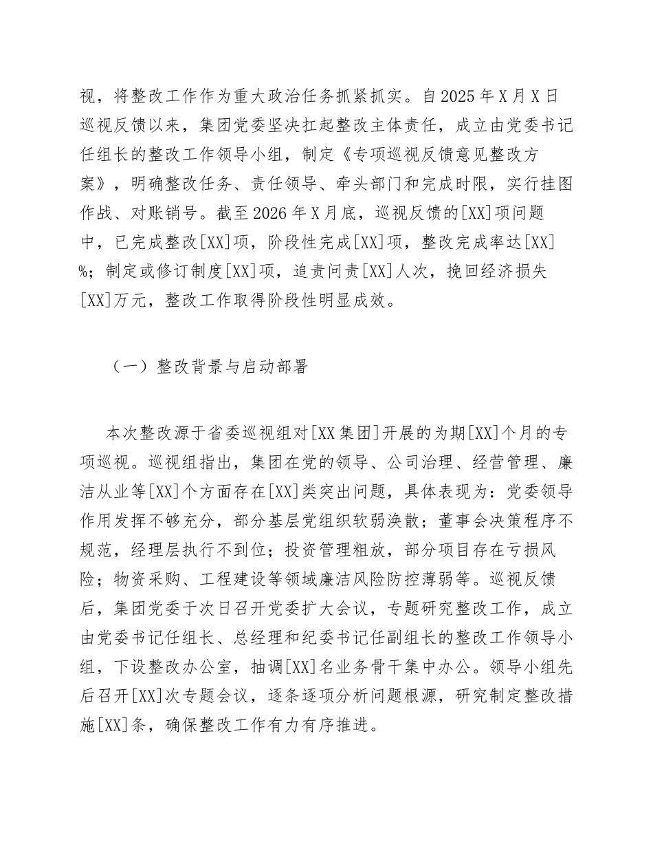 2026年国有企业专项整改情况报告（含封面模板及编制说明）_第3页