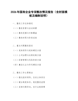 2026年国有企业专项整改情况报告（含封面模板及编制说明）