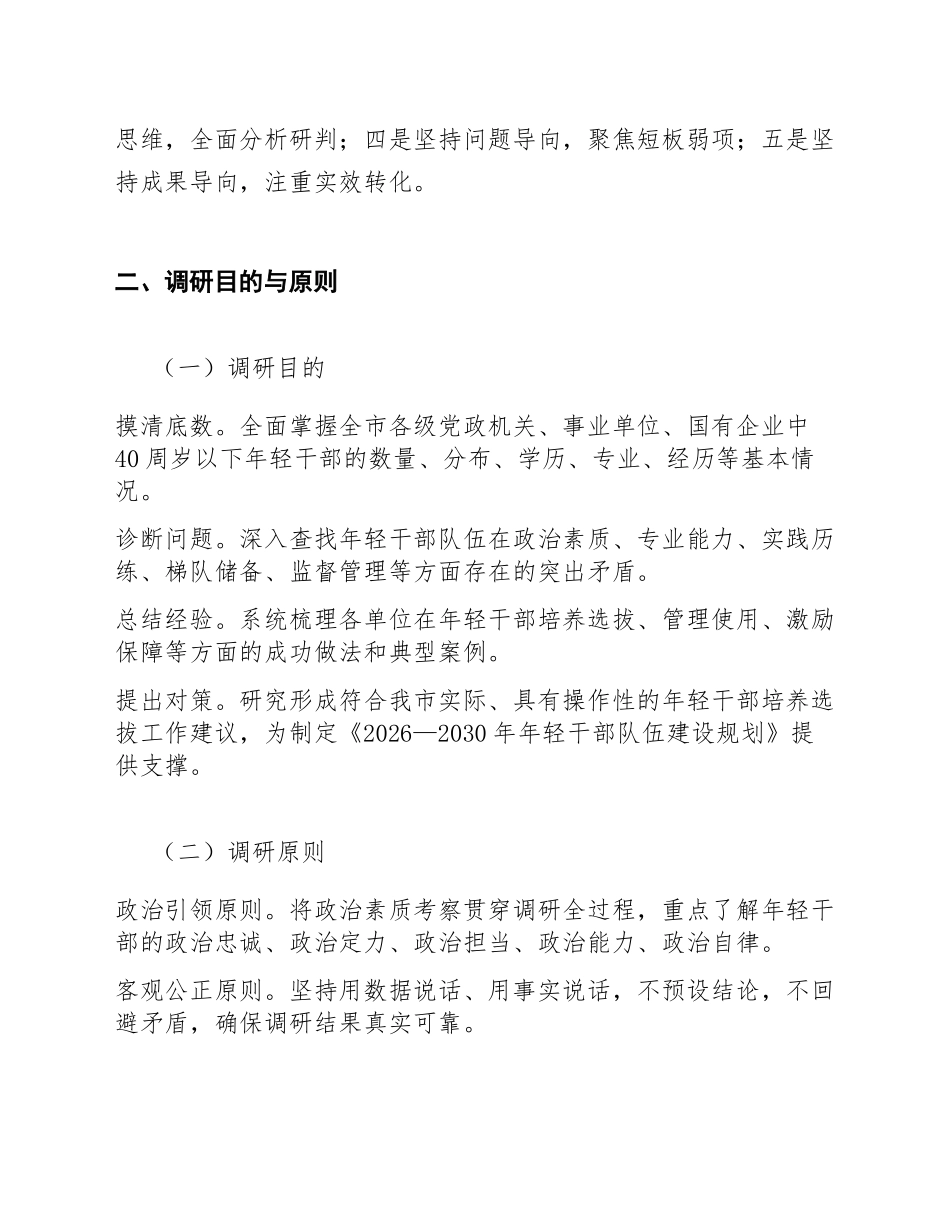 2026年年轻干部队伍建设专题调研工作方案（含任务清单模板）_第2页