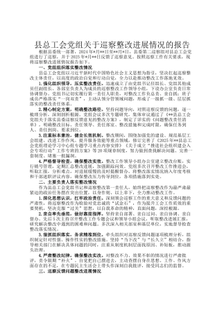 县总工会党组关于巡察整改进展情况的报告