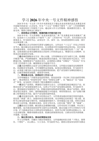 学习2026年中央一号文件精神感悟