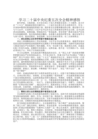 学习二十届中央纪委五次全会精神感悟