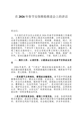 在2026年春节安保维稳推进会上的讲话