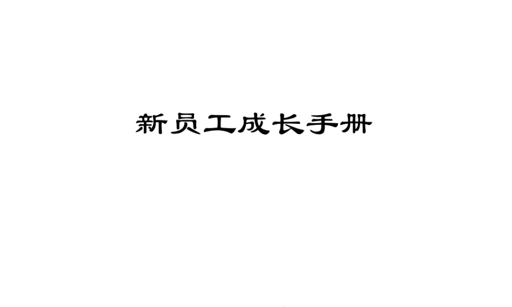 500强企业员工手册