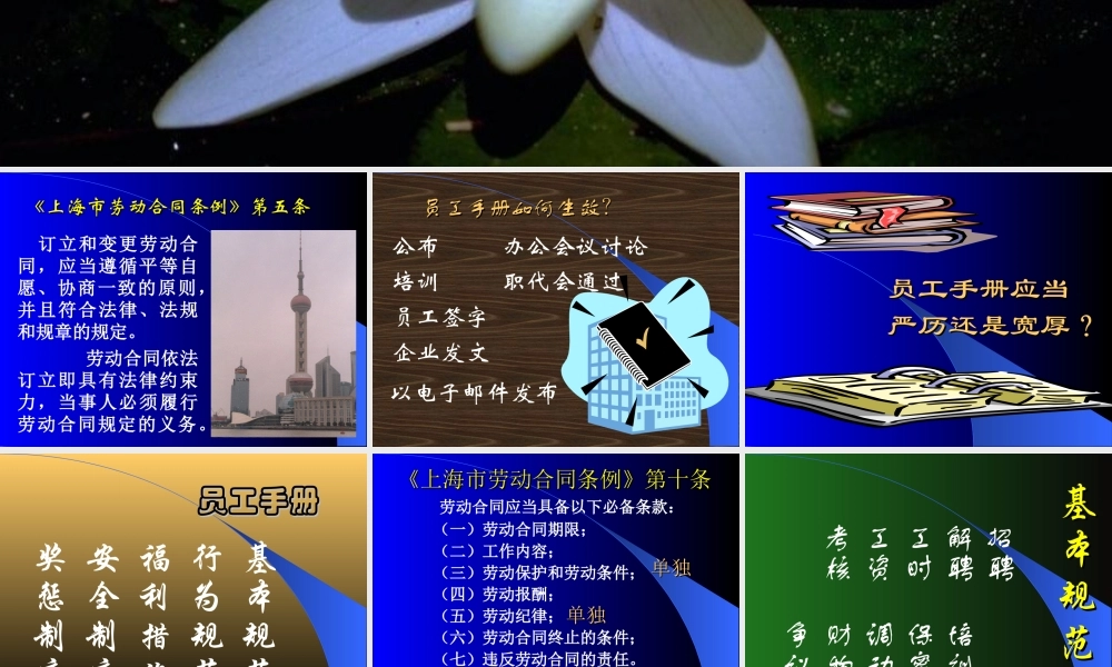 如何制定员工手册