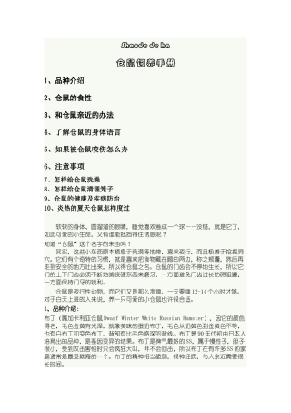 仓鼠饲养全面手册