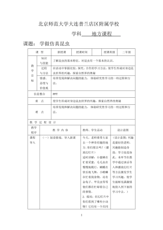 北京师范大学大连普兰店区附属学校学做仿真昆虫