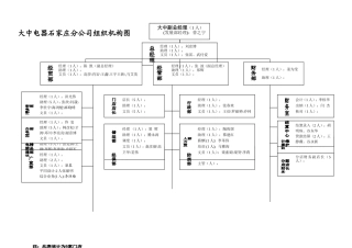 大中电器石家庄分公司组织机构图