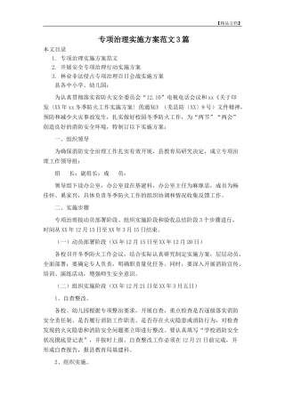 专项治理实施方案范文3篇