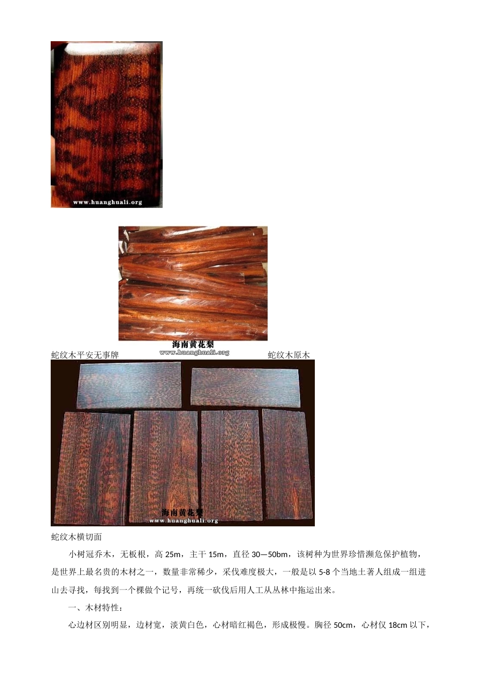 世界上密度最大的木材-蛇纹木_第2页