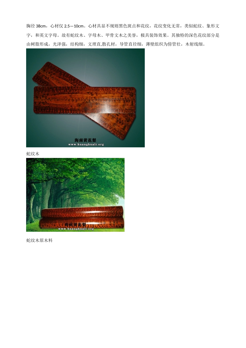 世界上密度最大的木材-蛇纹木_第3页