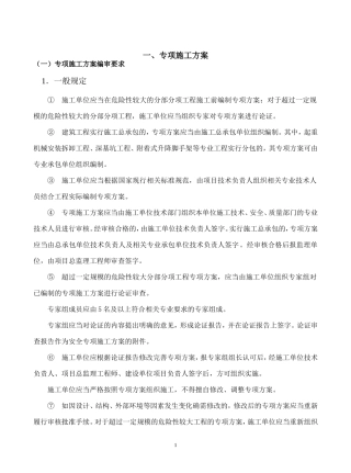 项目专项施工方案