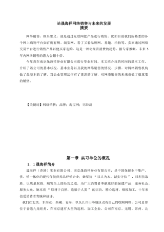 论晟海祥网络销售与未来的发展分析研究   市场营销专业