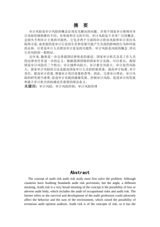 论企业审计的风险及其对策分析研究  财务会计学专业