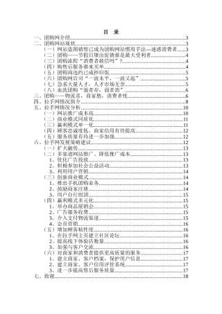 拉手团网站的经营风险及防范策略研究分析 工商管理专业