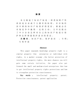 论中小企业知识产权的保护及保护意识的增强分析研究  工商管理专业