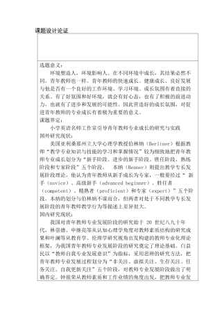 小学英语名师工作室引导青年教师专业成长的研究与实践分析研究 开题报告  教育教学专业