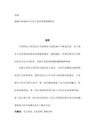 新疆天羚绒业公司电子商务营销策略研究分析   电子商务管理专业