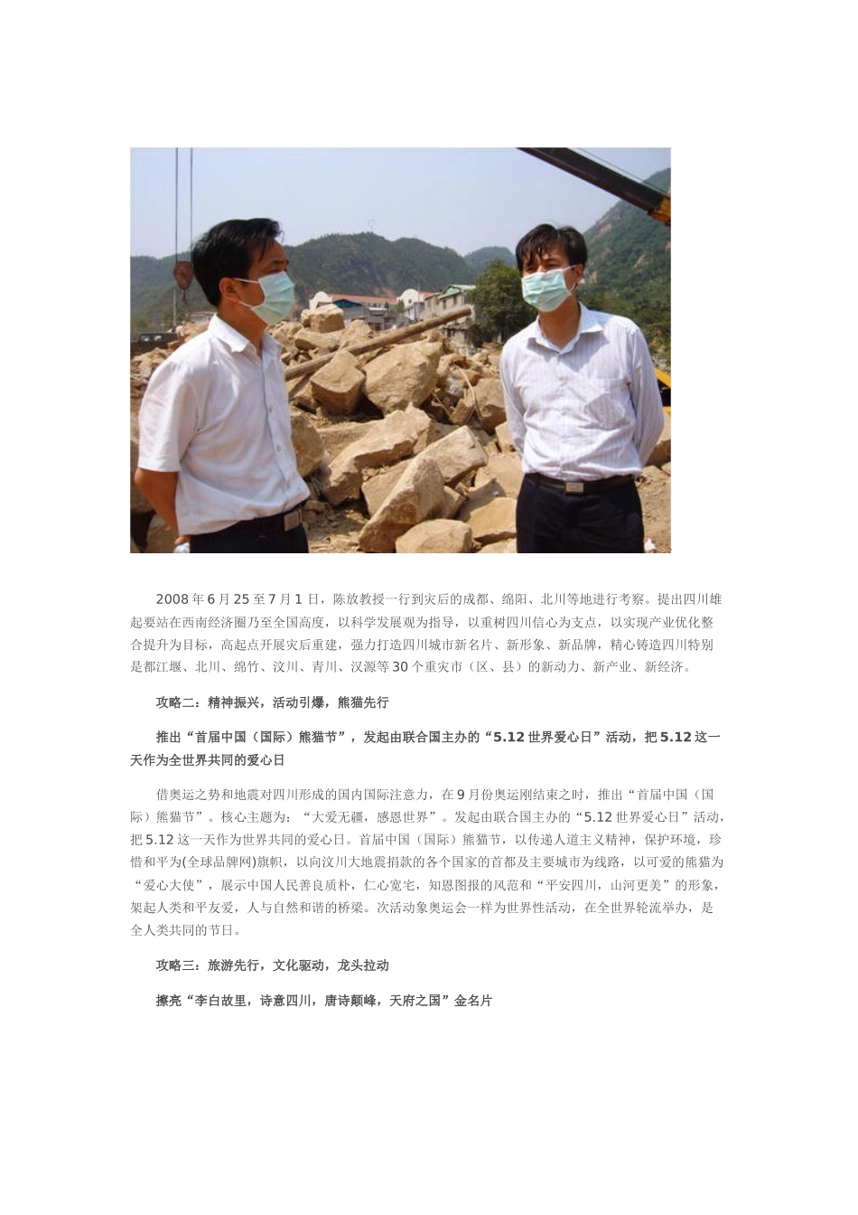 “四川雄起”策划创意攻略_第2页