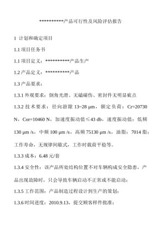 产品可行性及风险评估报告模板