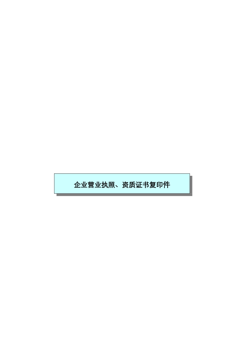 投标人资质信誉部分(DOC8页)_第2页