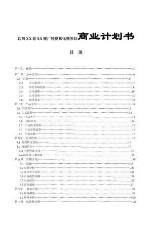 四川XX县XX镁厂轻烧氧化镁项目商业计划书
