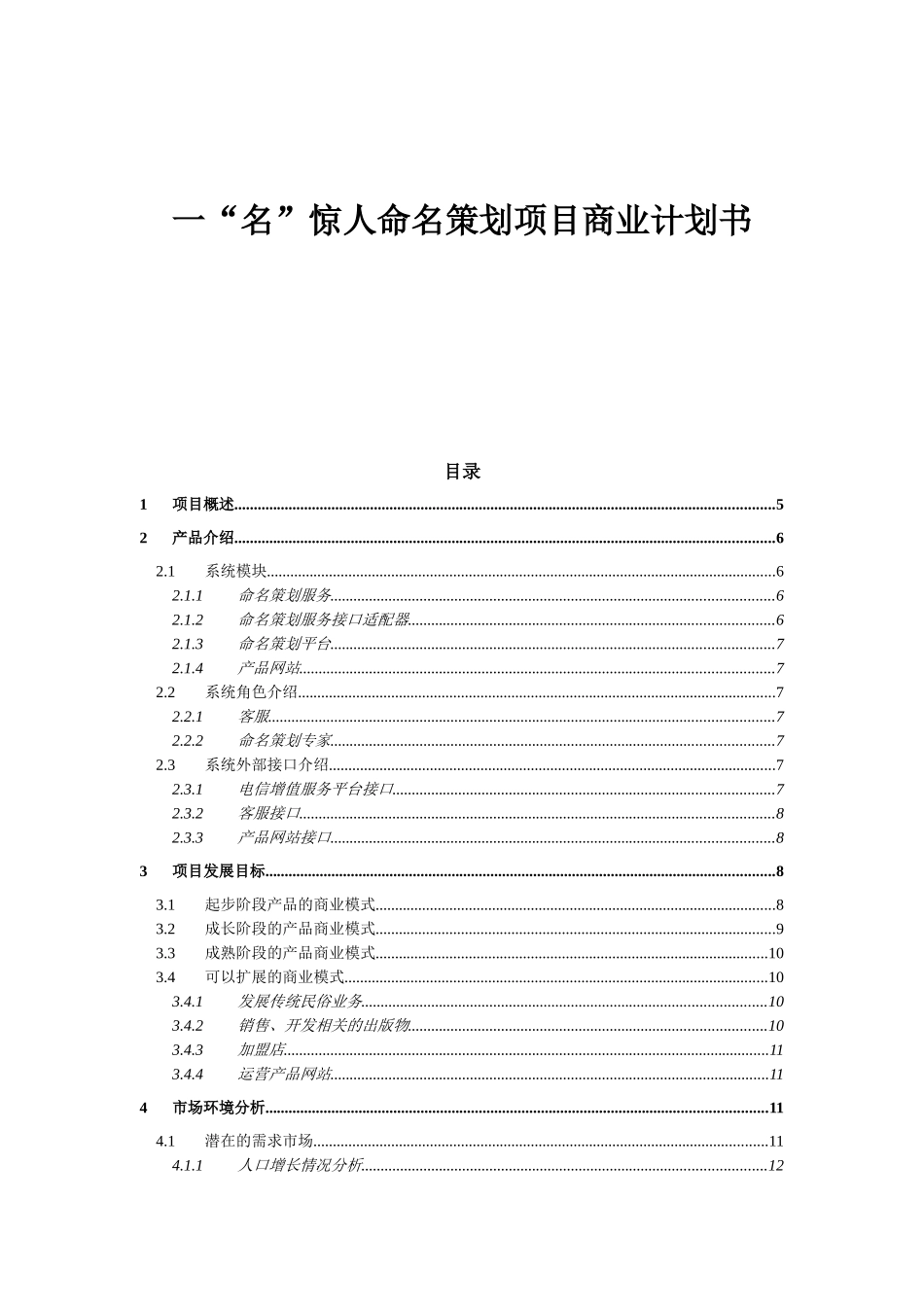 一“名”惊人命名策划项目商业计划书_第1页