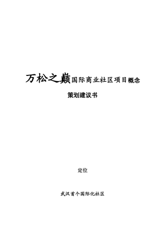 万松之巅国际商业社区项目概念策划建议书