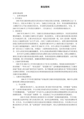 万源市商业步行街策划资料
