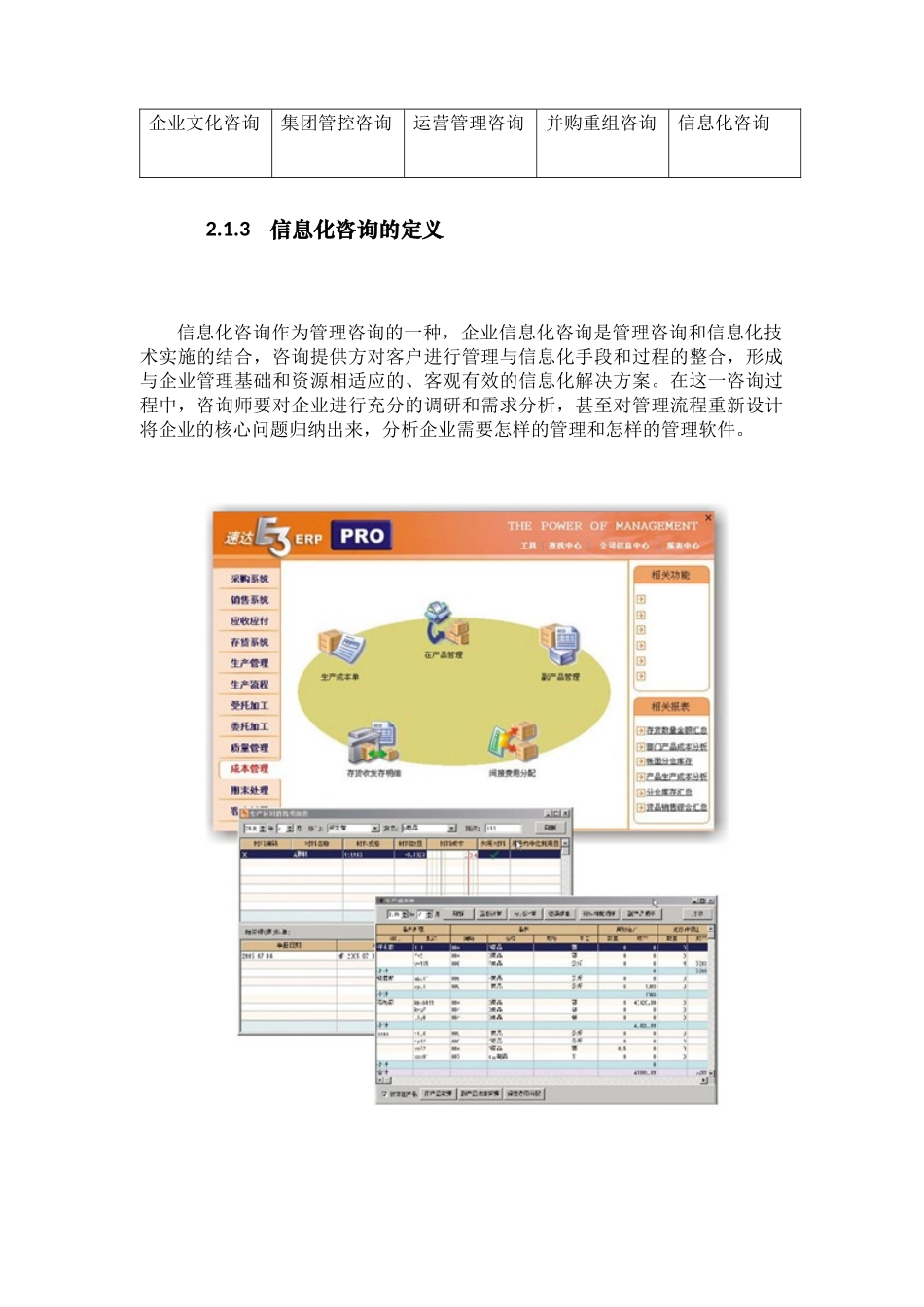 企业信息化咨询业务分析_第3页