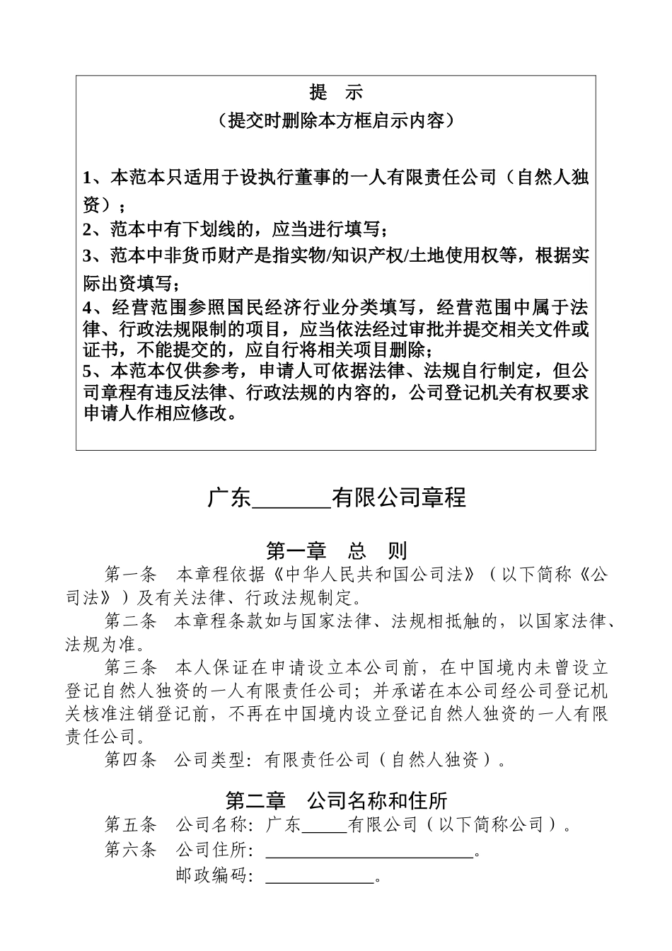 一人(自然人独资)公司章程参考范本(适用于设执行董事)_第1页